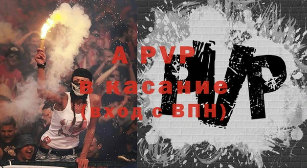 индика Вяземский