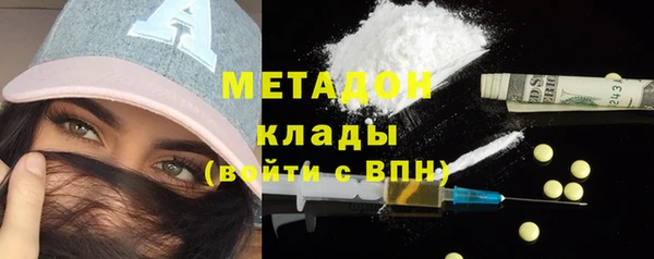 индика Вяземский