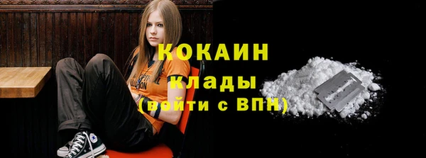 индика Вяземский
