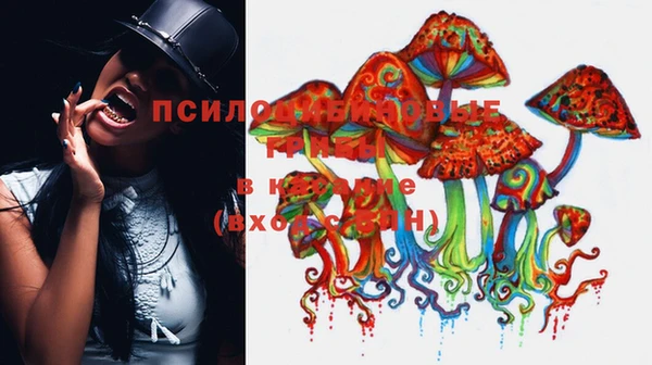 mix Верея