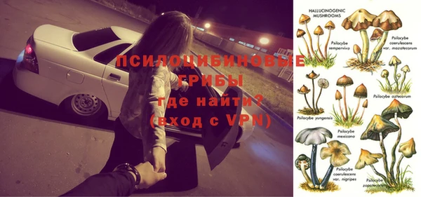 индика Вяземский