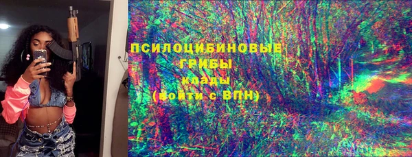 бошки Вязьма