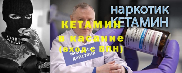 индика Вяземский