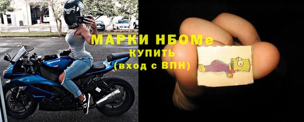 индика Вяземский